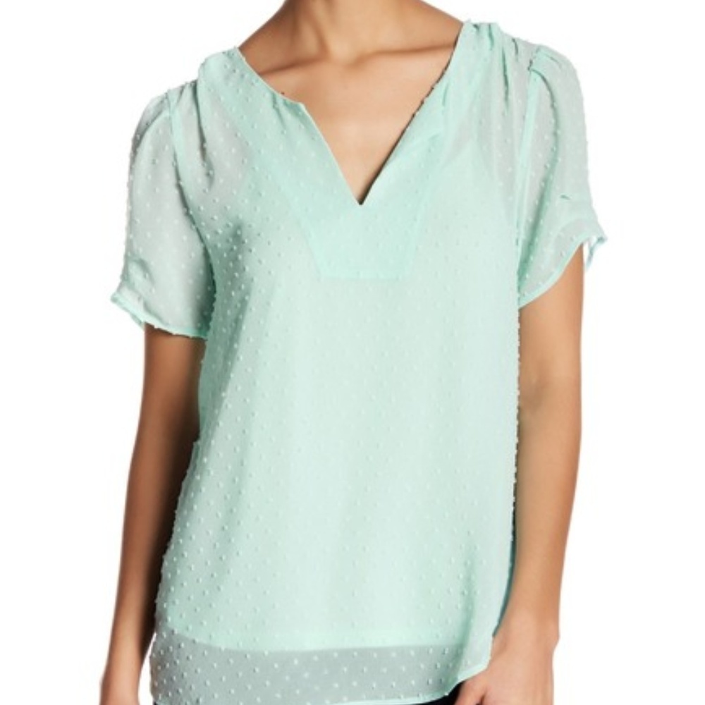 DR2 by Daniel Rainn Mini Dot Pinch Sleeve Blouse